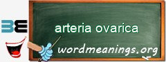 WordMeaning blackboard for arteria ovarica